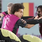 开云足球-包含今夜费耶诺德备战欧超杯，单刀错失细节曝光，赛场秩序良好，细节决定成败的词条